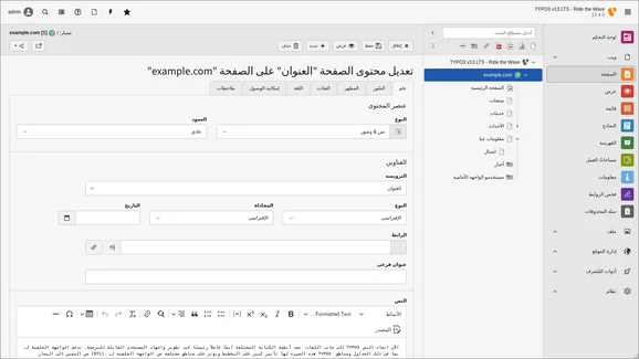 Das Bild zeigt ein Formular zur Bearbeitung von Inhalten auf einer Webseite mit der URL "example.com". Es sind Felder für persönliche Informationen wie Name, Geschlecht und andere Details sichtbar. Auf der rechten Seite befinden sich farbige Schaltflächen zur Übersicht.