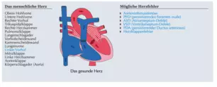 Herz-Animation - Herz-Bestandteil