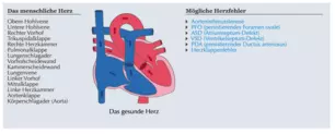 Herz-Animation - Basis