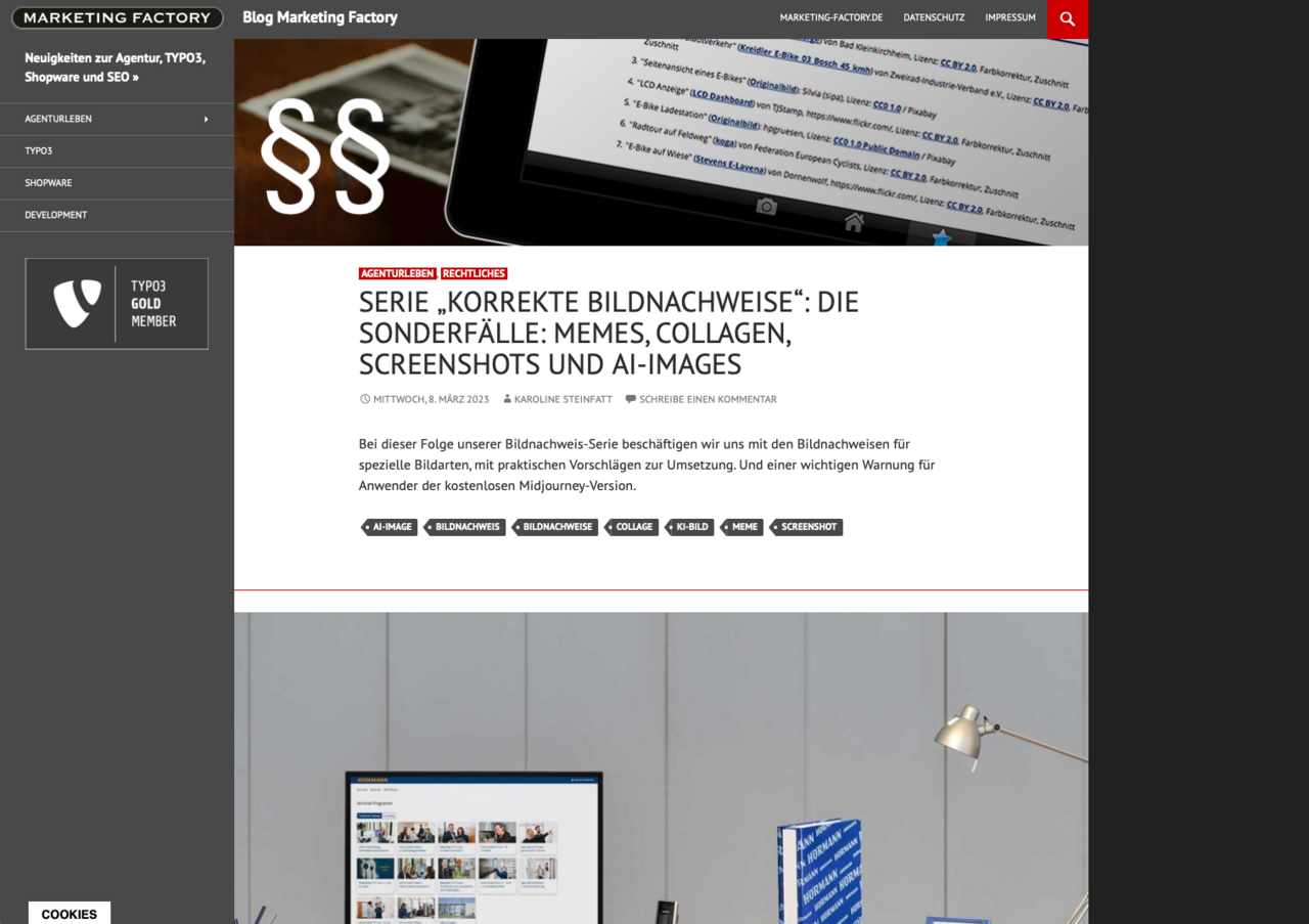 Screenshot unseres alten WordPress-Blogs