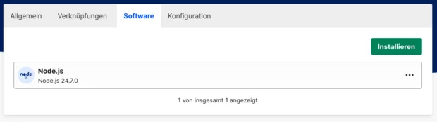 Softwaretab im Interface zeigt Version von Node.js (24.7.0) an. 