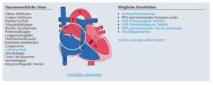 Herz-Animation - Herz-Bestandteil und -fehler
