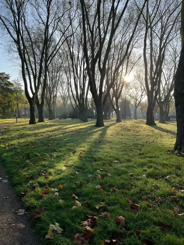 Morgensonne im Nebel